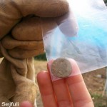 Roman coin of the emperor Constans – Travnik