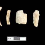 Person-5-bones-Amphipolis