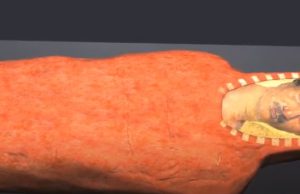 Египетската мумија, нејзиното срце и патот кон вечноста – видео презентација