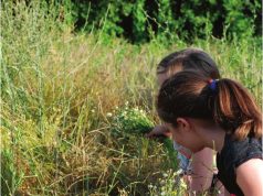 Обичаите „Иванка“ и „Тајане Бојане“